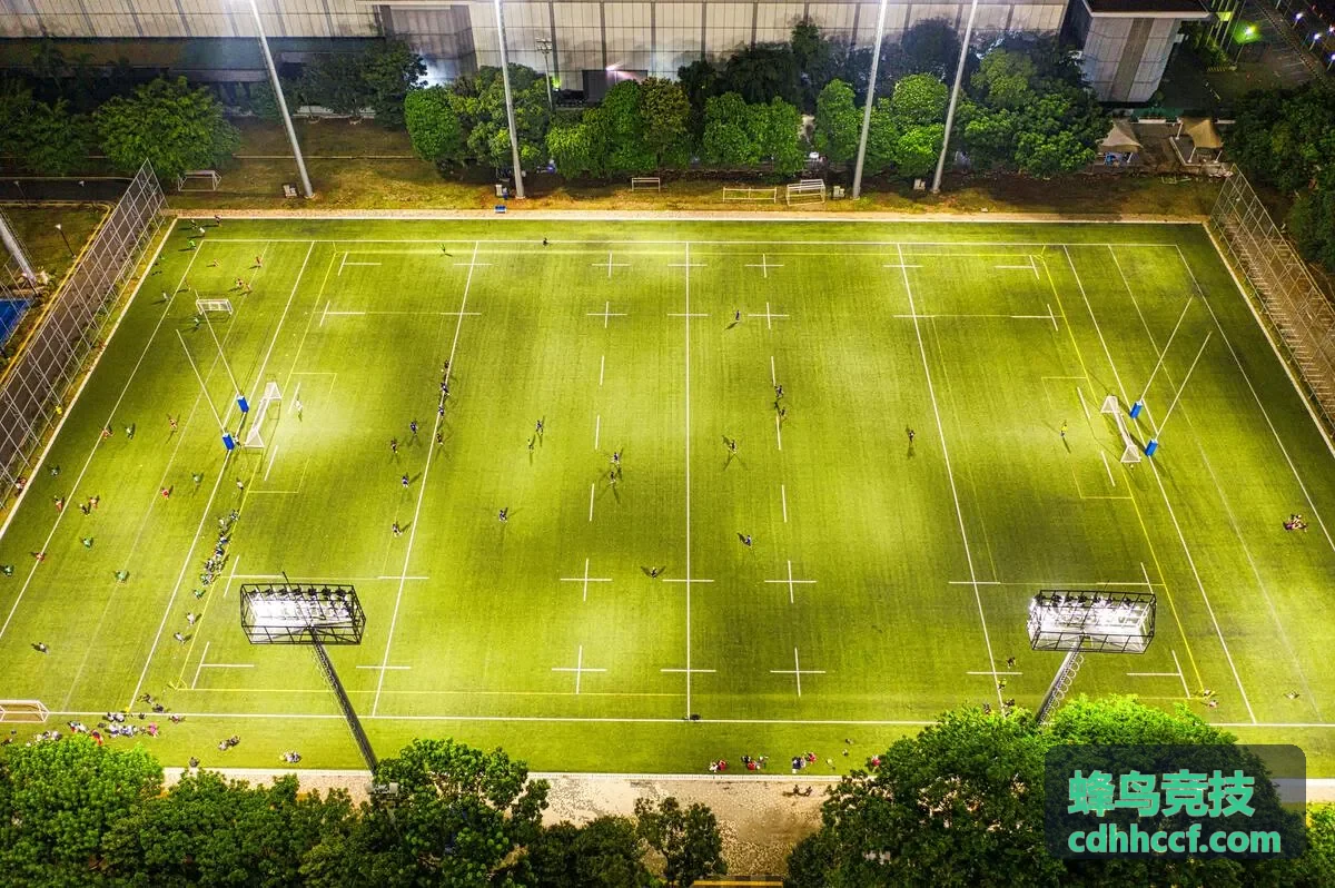 蜂鸟竞技电竞专区封面